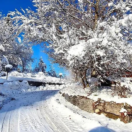 Alpenblick Holiday home