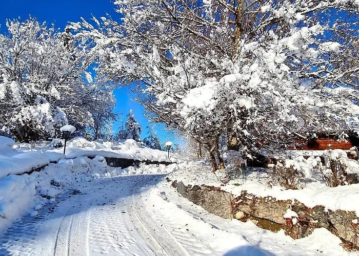 Alpenblick Holiday home